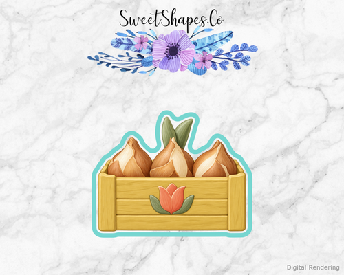 Flowers, Plants & Nature